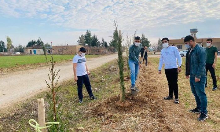 Kısıtlamadan muaf olan çiftçiler, WhatsApp üzerinden organize olup fidan dikti