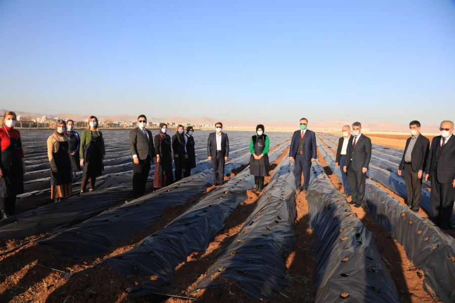 Cemil Aydoğan’ın gözünden Mezopotamya Çilek Bahçesi