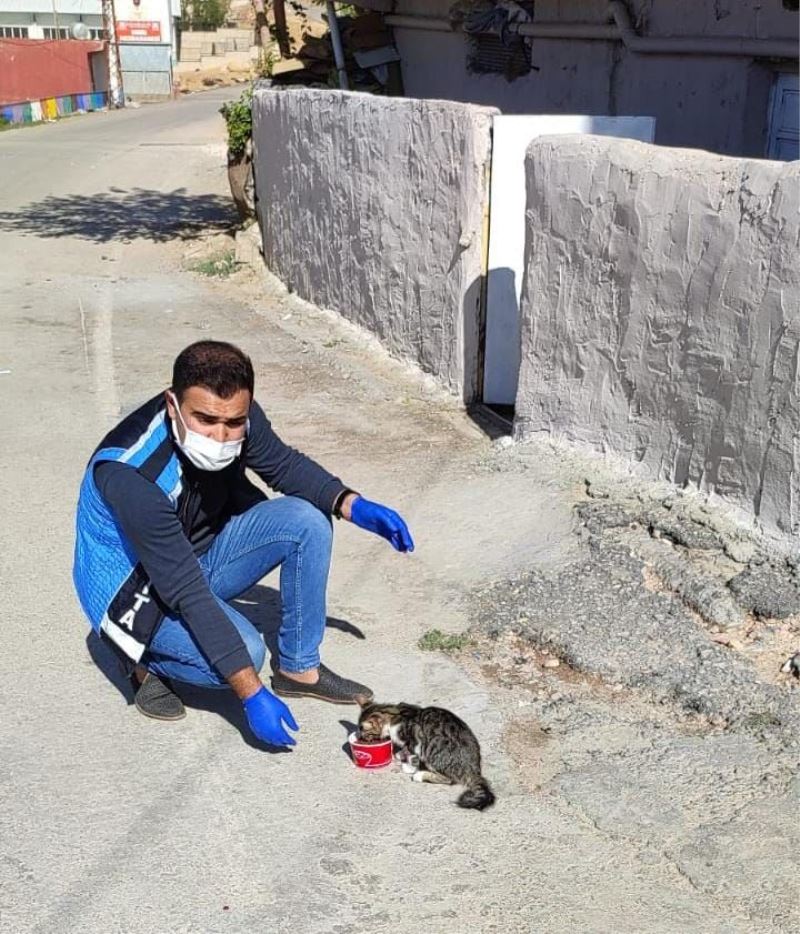 Derik Belediyesi can dostları unutmuyor