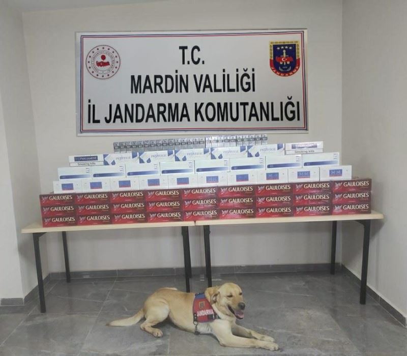 Çantacılara jandarma operasyonu