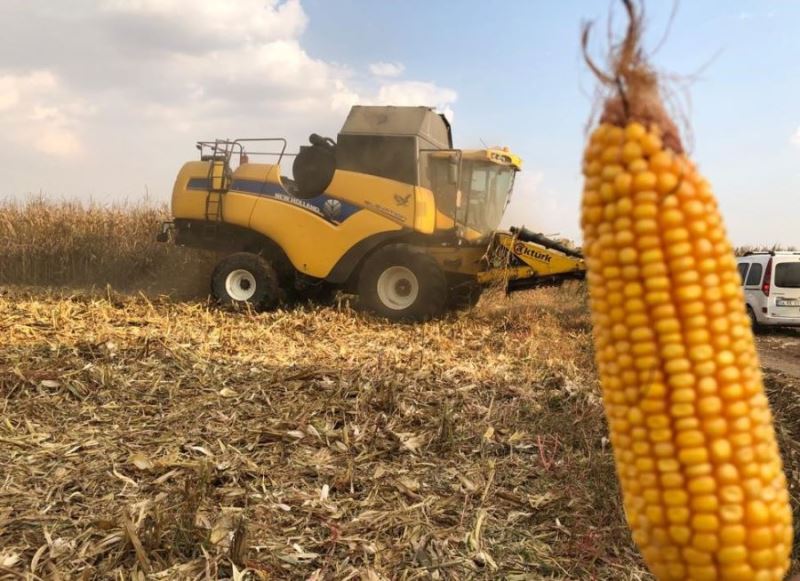 2021 Yılı Ürünü Dane Mısır Biçim Fiyatı Belirlendi