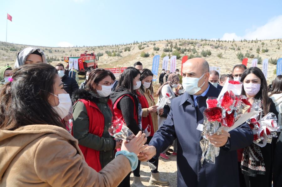 8 Mart Dünya Kadınlar Günü