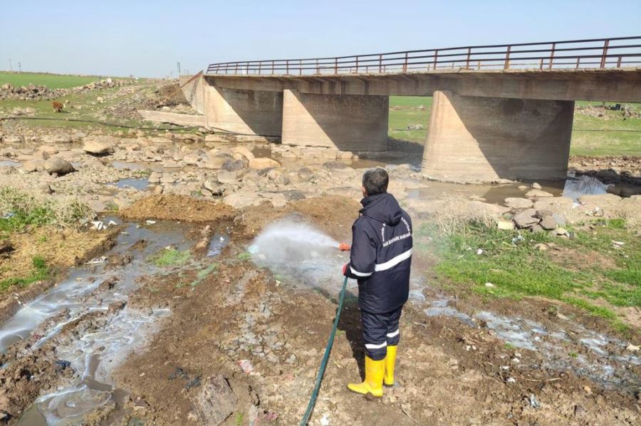 Mardin genelinde sinek ve haşereye karşı ilaçlama çalışması başlatıldı
