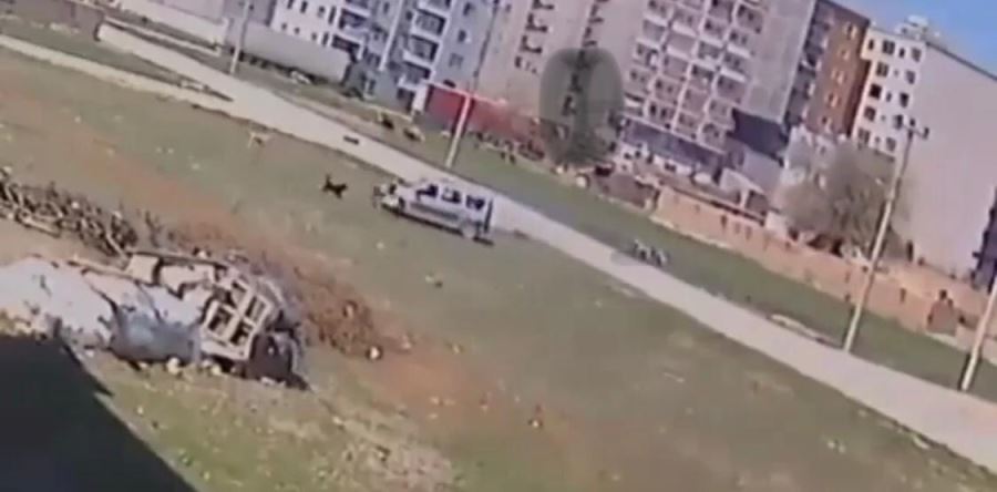 Köpeklerinin çocuğa saldırma anı kameralara yansıdı