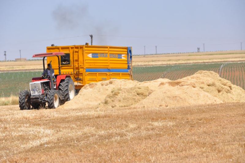 Kuraklık saman fiyatlarını uçurdu