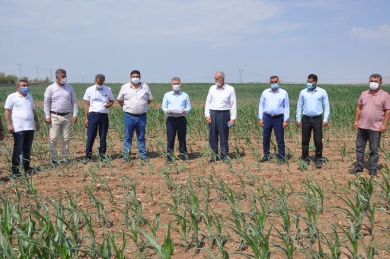 Mardin’de çiftçilerden hükümete acil elektrik destek çağrısı