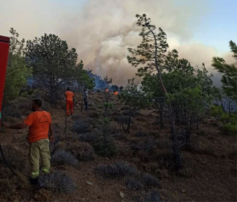 Mardin itfaiyesi ekipleri Antalya’da yangın söndürme çalışmalarını sürdürüyor