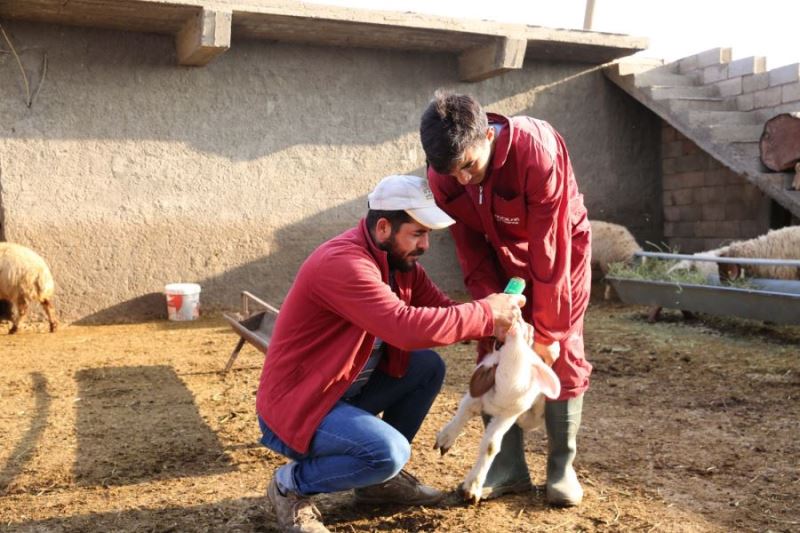 Çiftçiler ‘Kuzulu İşletme Kusursuz Üretimdir’ projesi’nden memnun