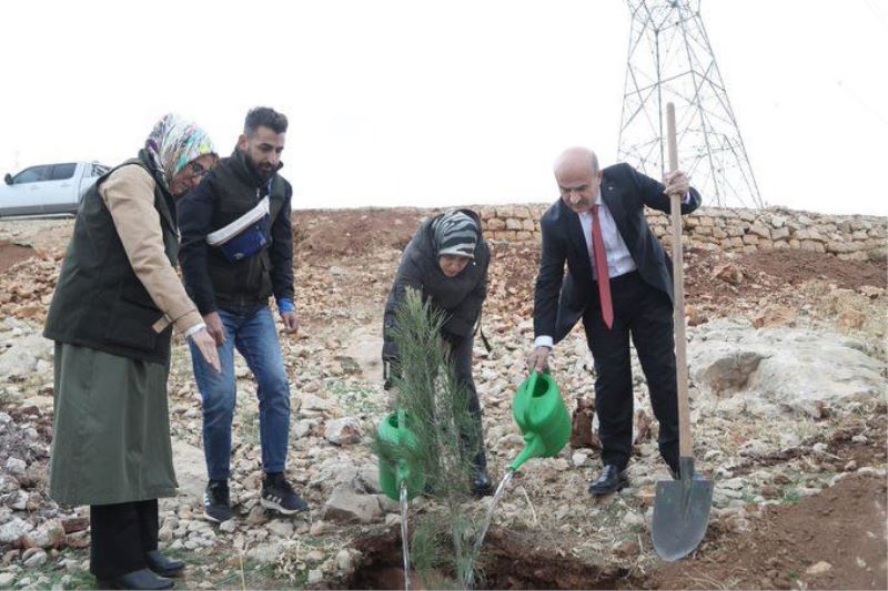 Şiddet Sonucu Yaşamı kaybeden kadınların anısına fidan dikildi