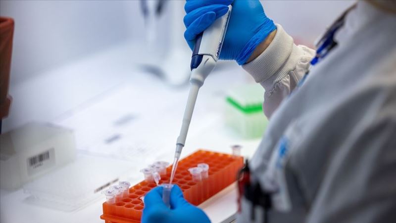 DSÖ, maymun çiçeği virüsünün adını 