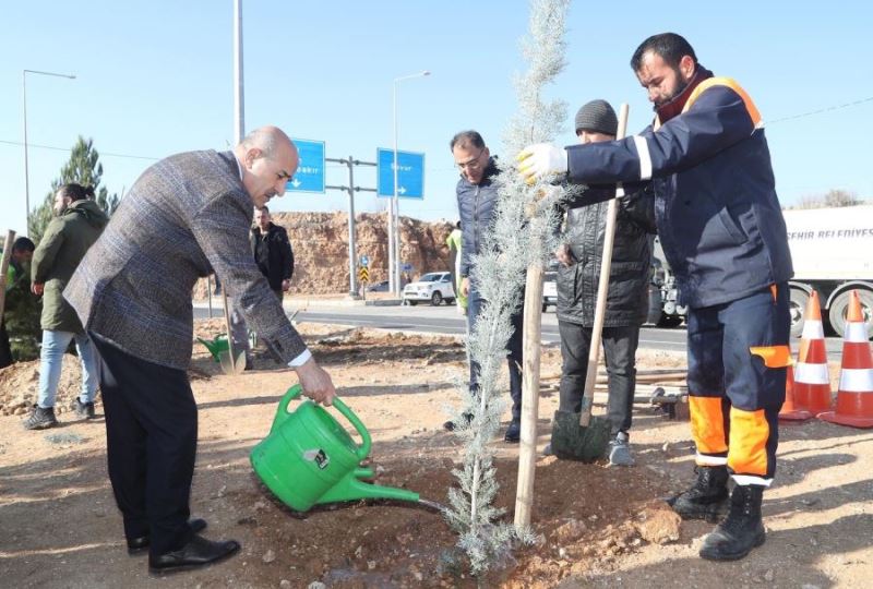 Hop Geçidi yeşillendiriliyor