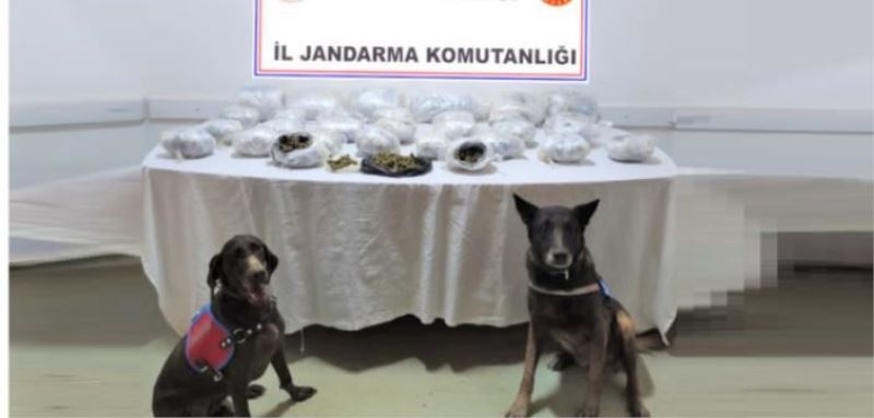 Derik’te uyuşturucu operasyonu: 3 tutuklama