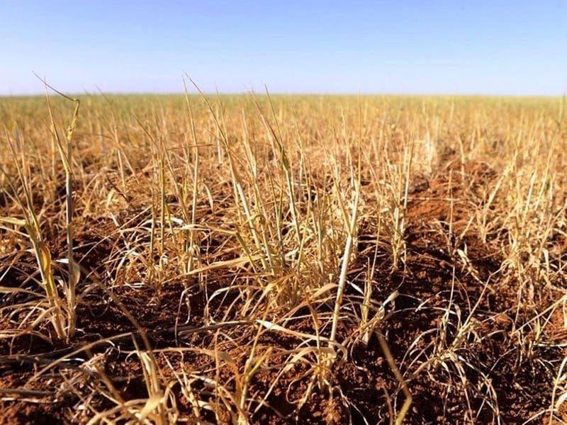 Kızıltepe Ziraat Odası