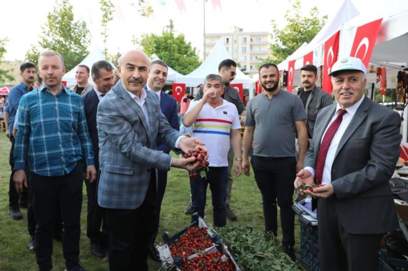  Yeşilli Uluslararası Kiraz Festivali yapıldı