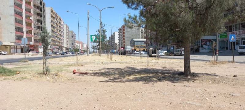 Kızıltepe’de refüjler neden bakımsız?