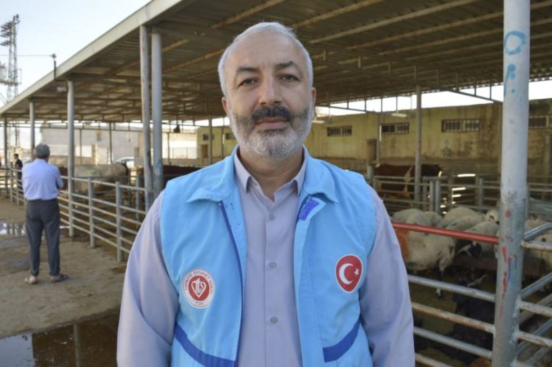 Türkiye Diyanet Vakfından Kızıltepe’de kurban kesimi