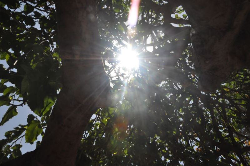 Kızıltepe’de sıcak havadan dolayı bir çocuk baygınlık geçirdi