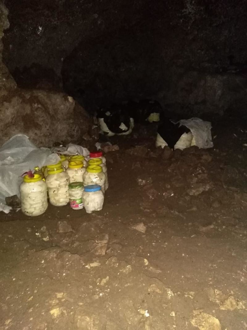 Midyat peynirine yoğun ilgi