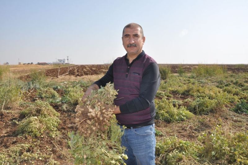 Prof. Dr. Yusuf Doğan: Yağmur yağarken su fıskiyeleri neden açılıyor anlamış değilim
