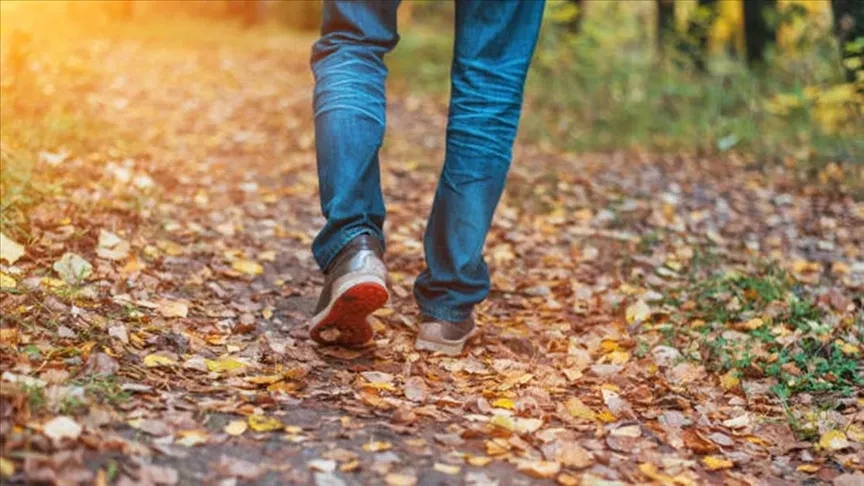 Son yüzyılda insanoğlunun hareket etme oranının yüzde 28