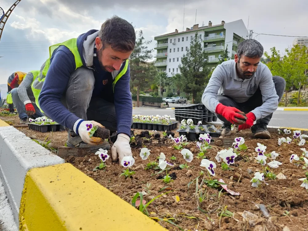 Mardin’de Kavşak ve Orta Refüjler Rengarenk 