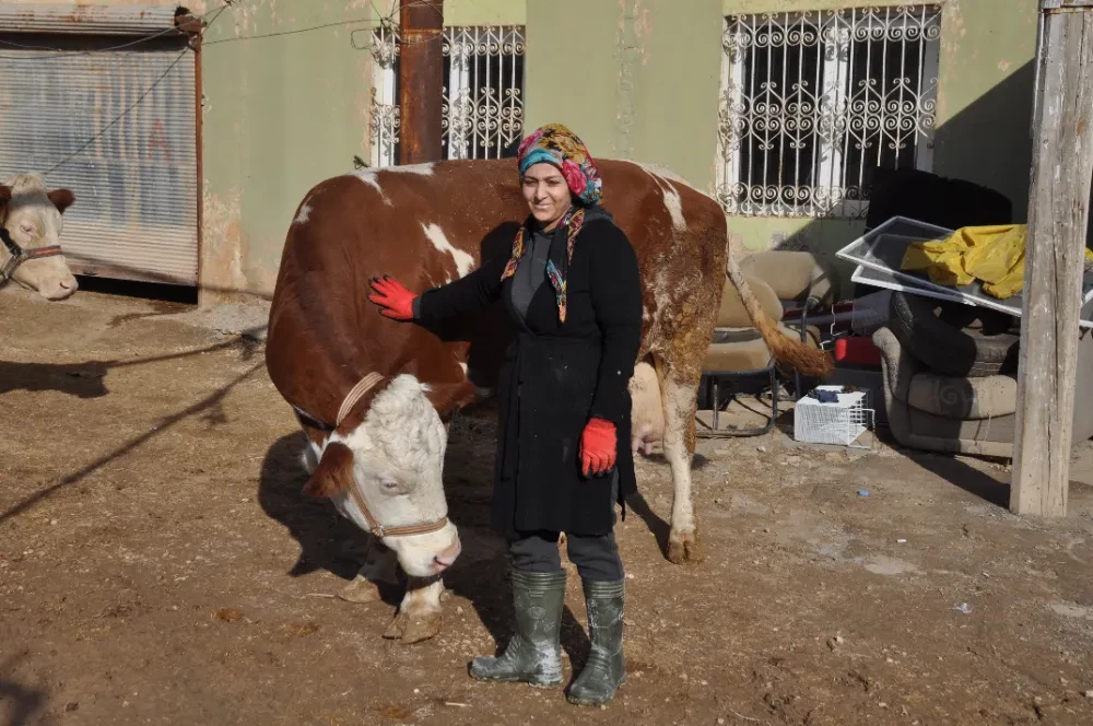Mardinli ev kadını Çiftçi Destek Kredisi ile besici oldu