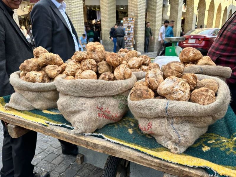 Dobelanın kilosu 450 lirayı buldu