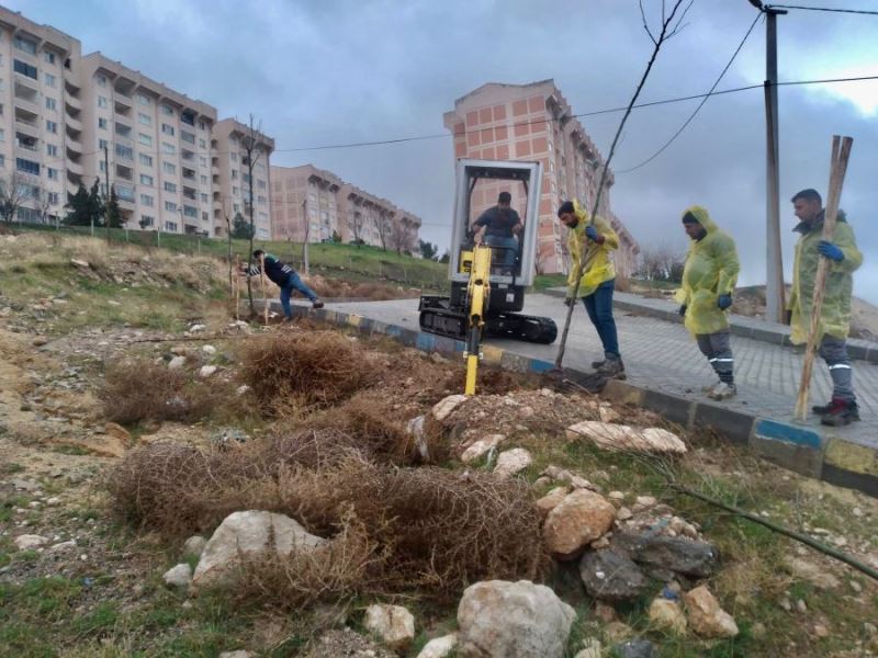 Artuklu Belediyesi kenti yeşillendiriyor