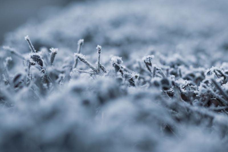 Mardin Valiliği açıkladı! Çiftçilere ‘zirai don’ uyarısı
