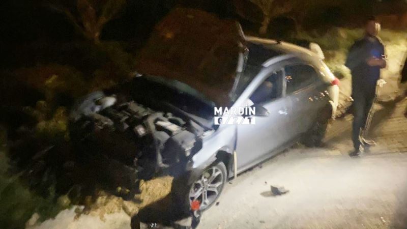 Mardin Sultan Şeyhmus yolunda köpeğe çarpmamak için kaza yaptı