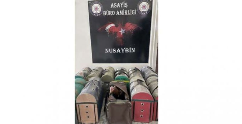 Nusaybin’de horoz dövüşçülerine operasyon