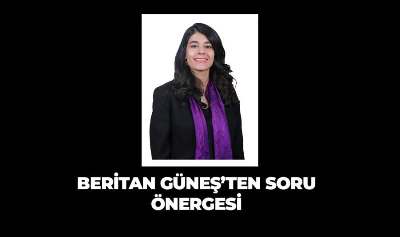 Mardin Milletvekili Beritan Güneş Mardin’deki elektrik kesintilerine dair soru önergesi verdi