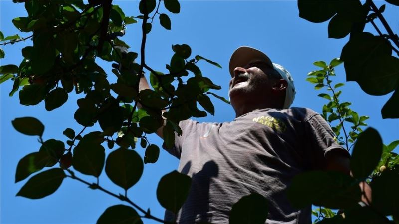 Tarım işçilerine sıcaklık uyarısı