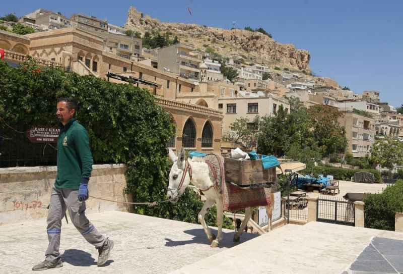 Mardin