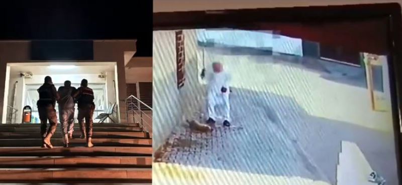 Kızıltepe’de yavru köpeği darp eden zanlı yakalandı