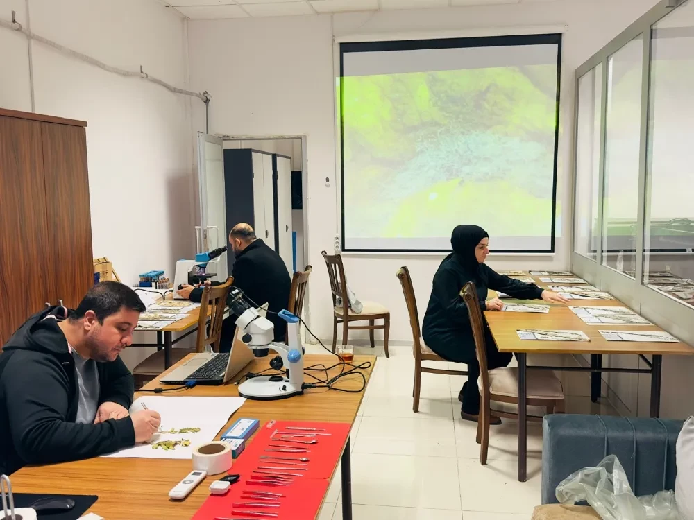 Mardin’in bitki zenginlikleri kayıt altına alınıyor