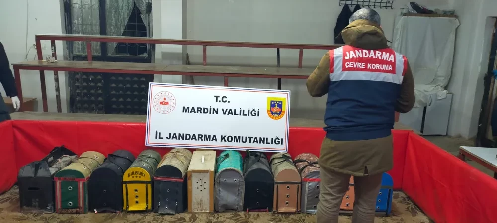 Mardin’de horoz dövüştüren 83 kişiye ceza