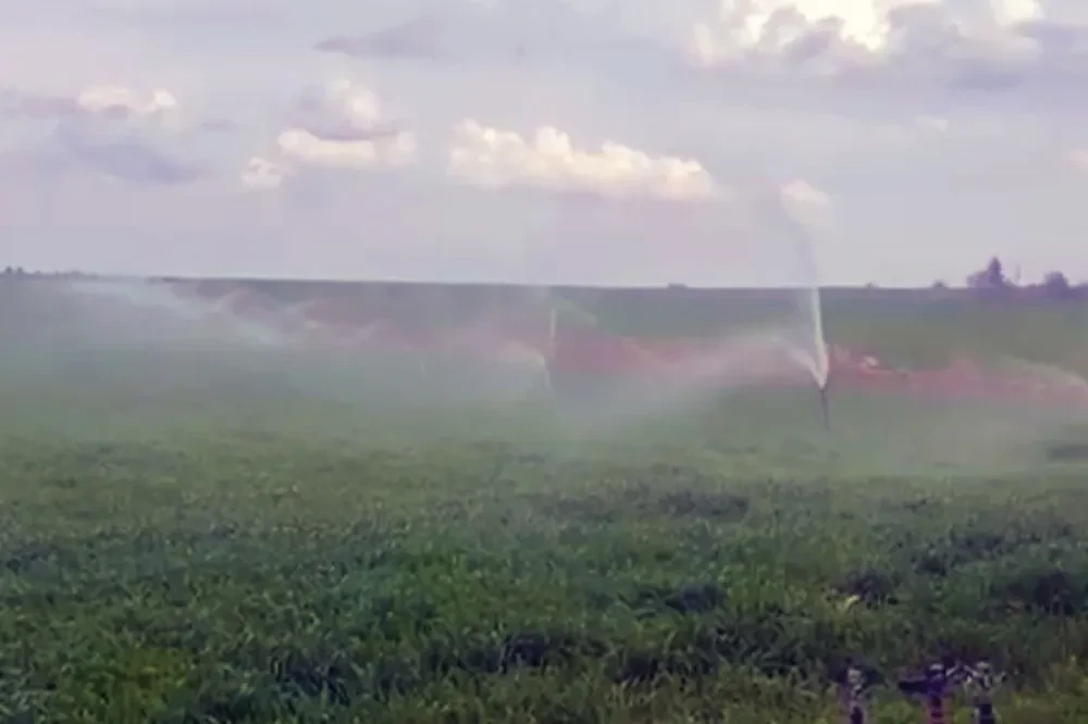 Yağan yağmura rağmen tarlasını sulamaya devam etti