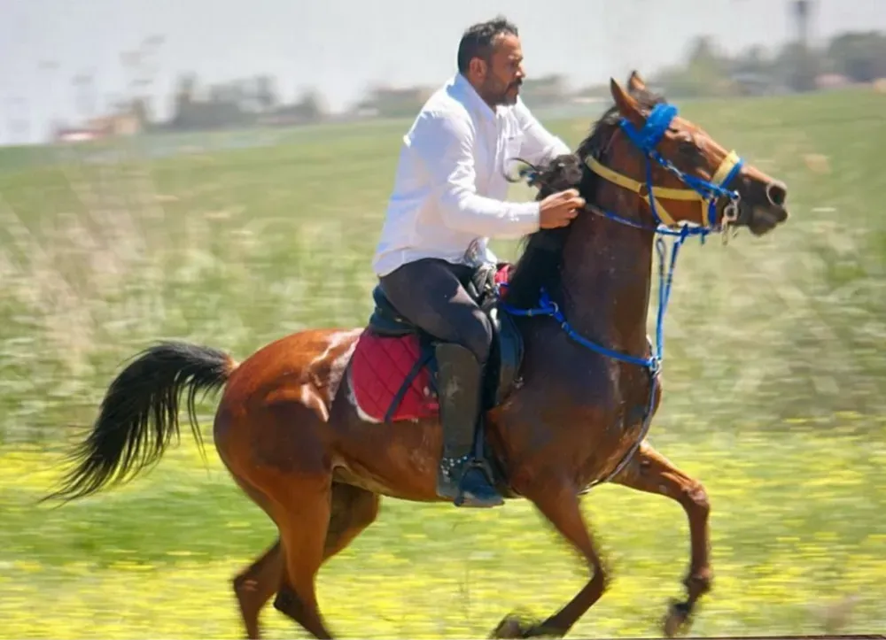 Kızıltepe’de Arap Atı Çalındı: Sahibinden Bulana Ödül Vaadi