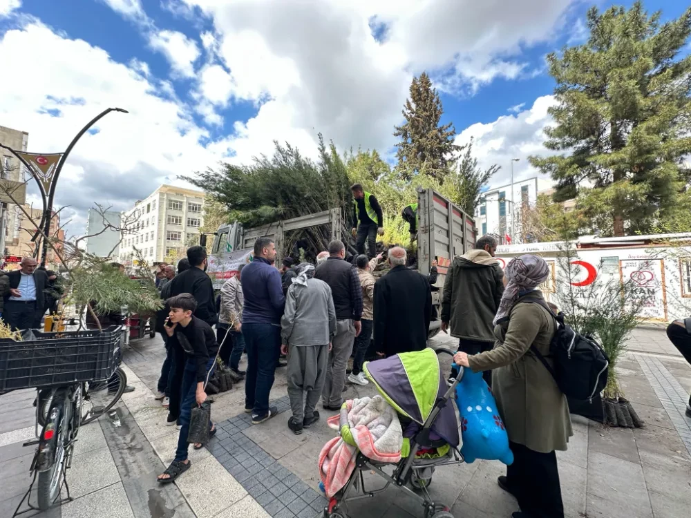 Orman Bölge Müdürlüğü Kızıltepe’de vatandaşlara 6 bin adet ücretsiz fidan dağıttı