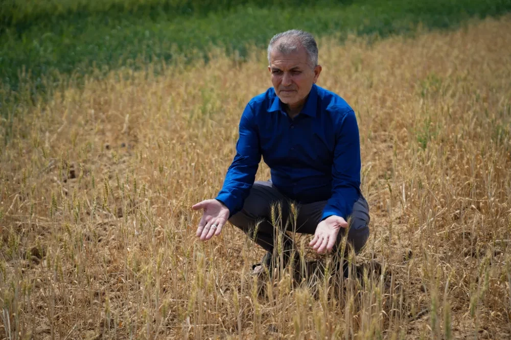 Mardin’de kuraklık kuru tarımı vurdu 
