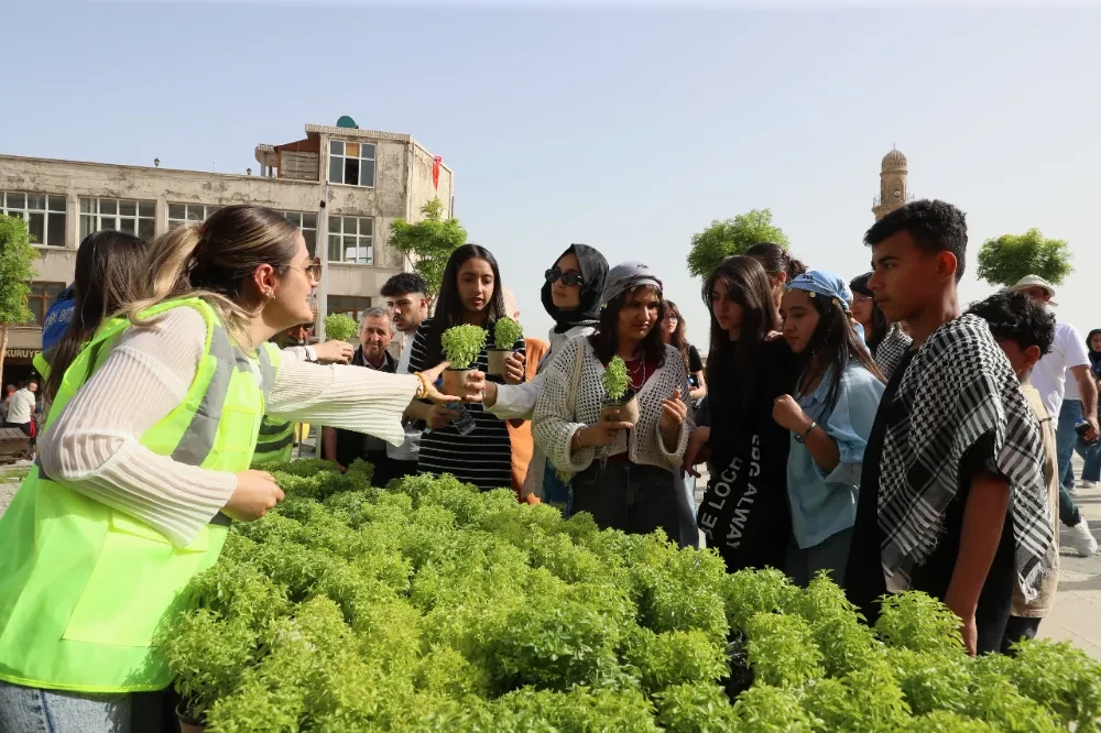 Turistler fesleğenlerle karşılanıyor