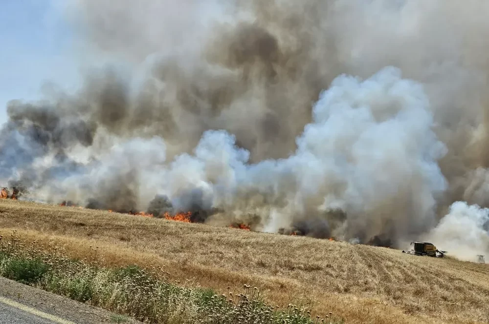 Kızıltepe’de hasadı yapılacak olan 350 dönüm buğday tarlası yandı