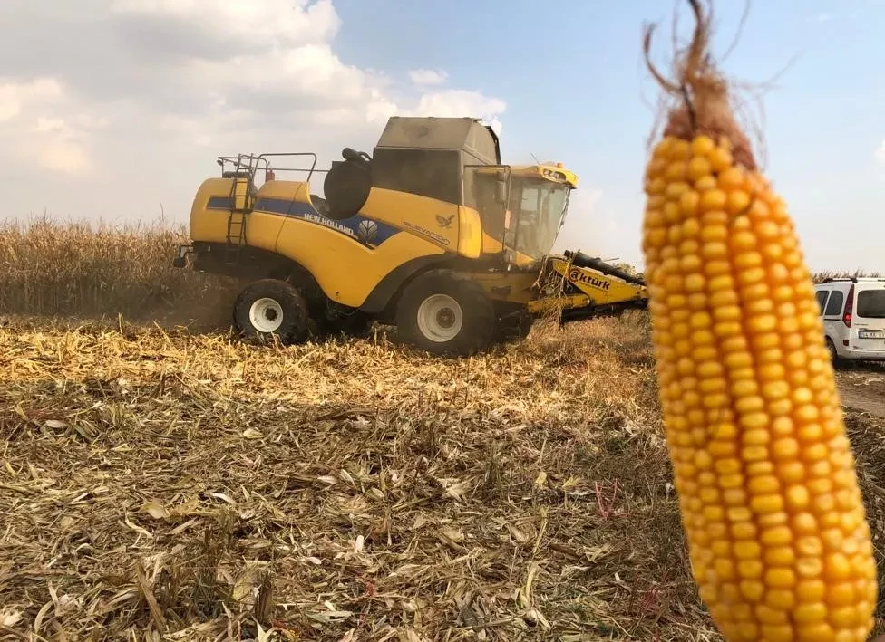 Müslümoğlu’ndan mısır açıklaması