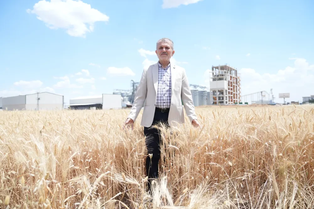 Mardin çiftçisi 16 lira  umdu 13 lira buldu