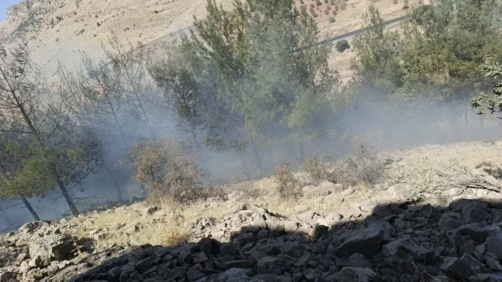 Derik’te dağlık alanda çıkan yangın söndürüldü