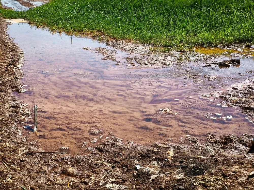 Güneydoğu’da Su ve Enerji Kaynakları Alarm Veriyor!